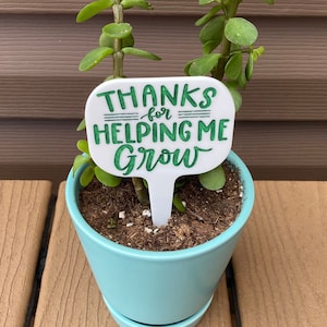 Thanks for Helping Me Grow Plant Stake