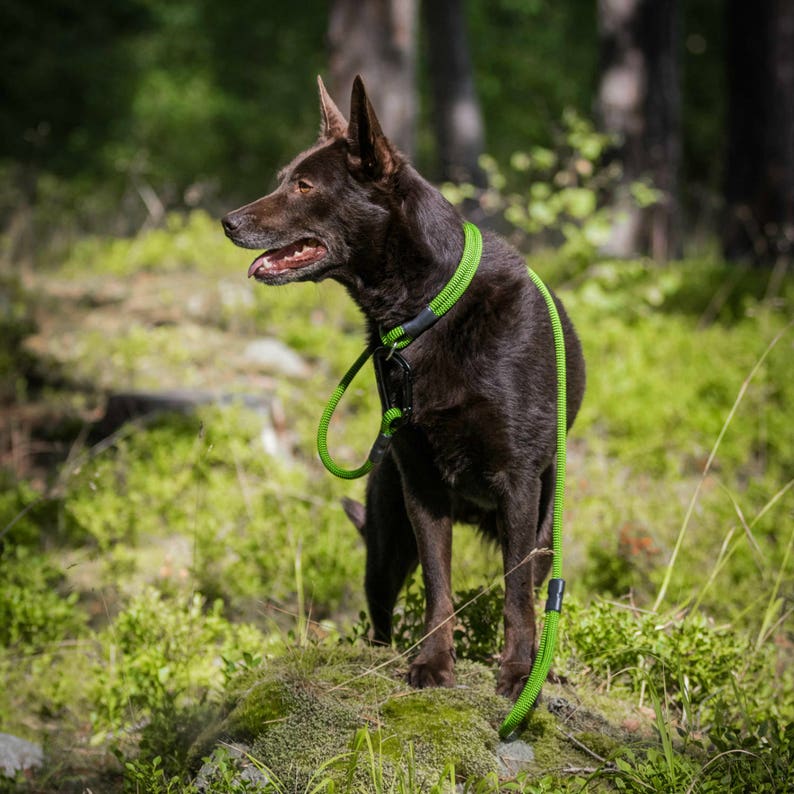 Climbing Rope Dog Leash ORIGINAL OUTDOOR With Carabiner // Custom Made