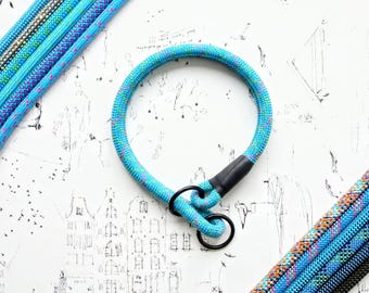 Upcycled Climbing Rope Dog SLIP Collar: Dual-Ring Training Lead