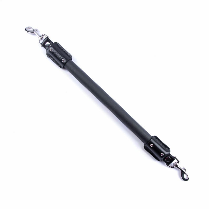 May include: A black leather leash with silver metal clasps on each end.