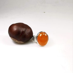 May include: A silver ring with an orange gemstone set in a bezel setting. The ring is next to a brown chestnut.