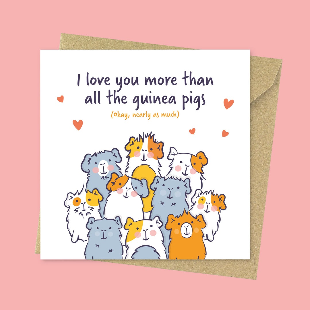 Funny Guinea Pig Valentines Card – Love You More Than the Guinea Pigs ...