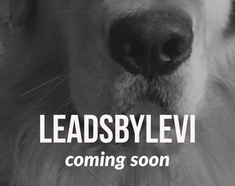 LeadsByLevi coming soon