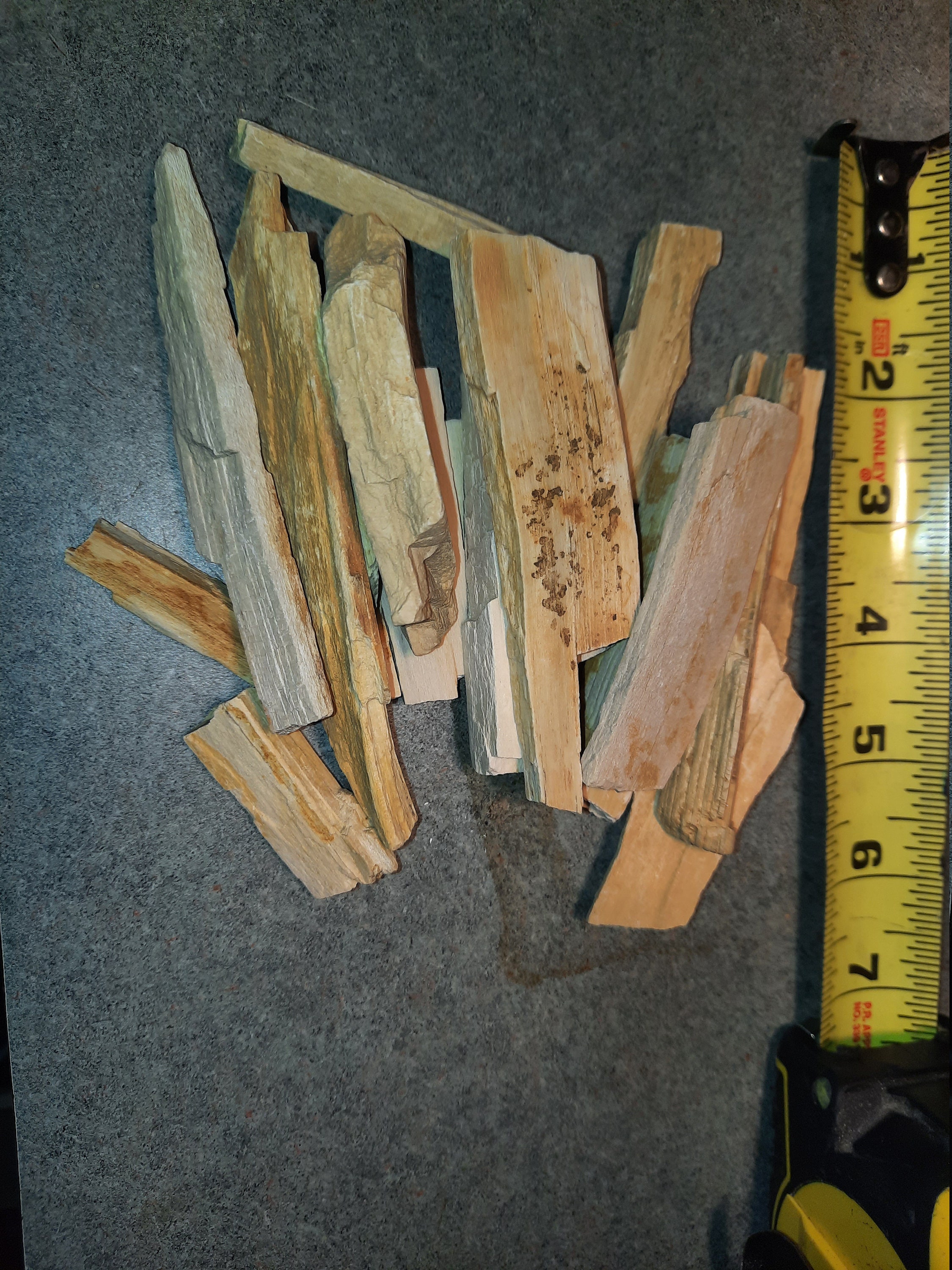 Petrified Wood Pieces Etsy UK