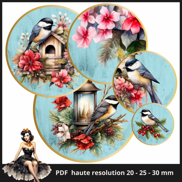 Images de cabochon d'oiseaux vintage cercle de 25 mm 1 pouce Images imprimables feuille de collage numérique Téléchargement instantané des capsules de bouteilles #13