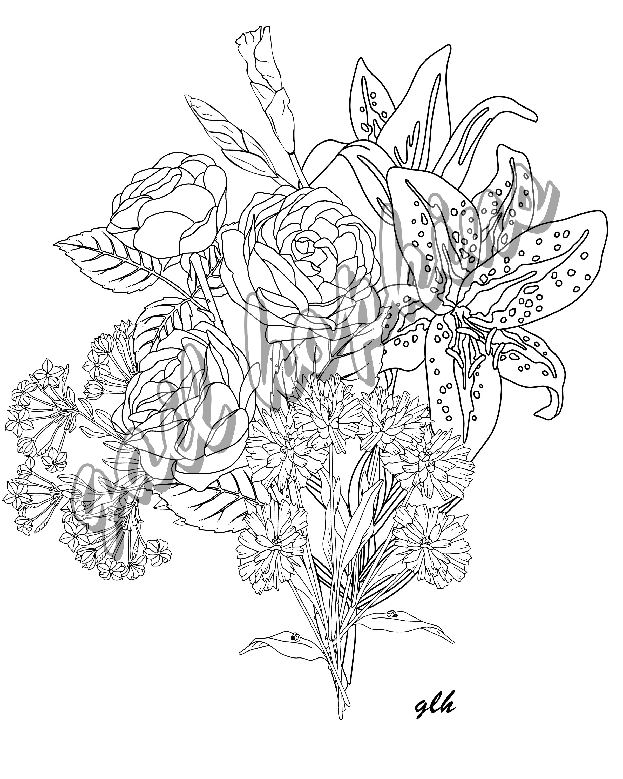 OMY - Lily Velvet Colouring Pages