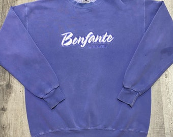 VTG Bonfante Gardens/ Gilroy Gardens Theme Park Pigment Purple Y2K Sweatshirt