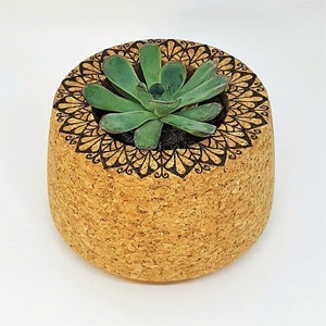 CORK PLANT HOLDER hand burnt natural rustic eco friendy wood vegan mandala spiritual gift yoga mindful pyrography indoor succulent cactus