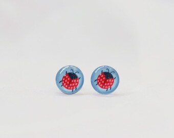 Ladybird Earrings, Hypoallergenic Surgical Steel Studs, Bug Gifts, Ladybug Earrings