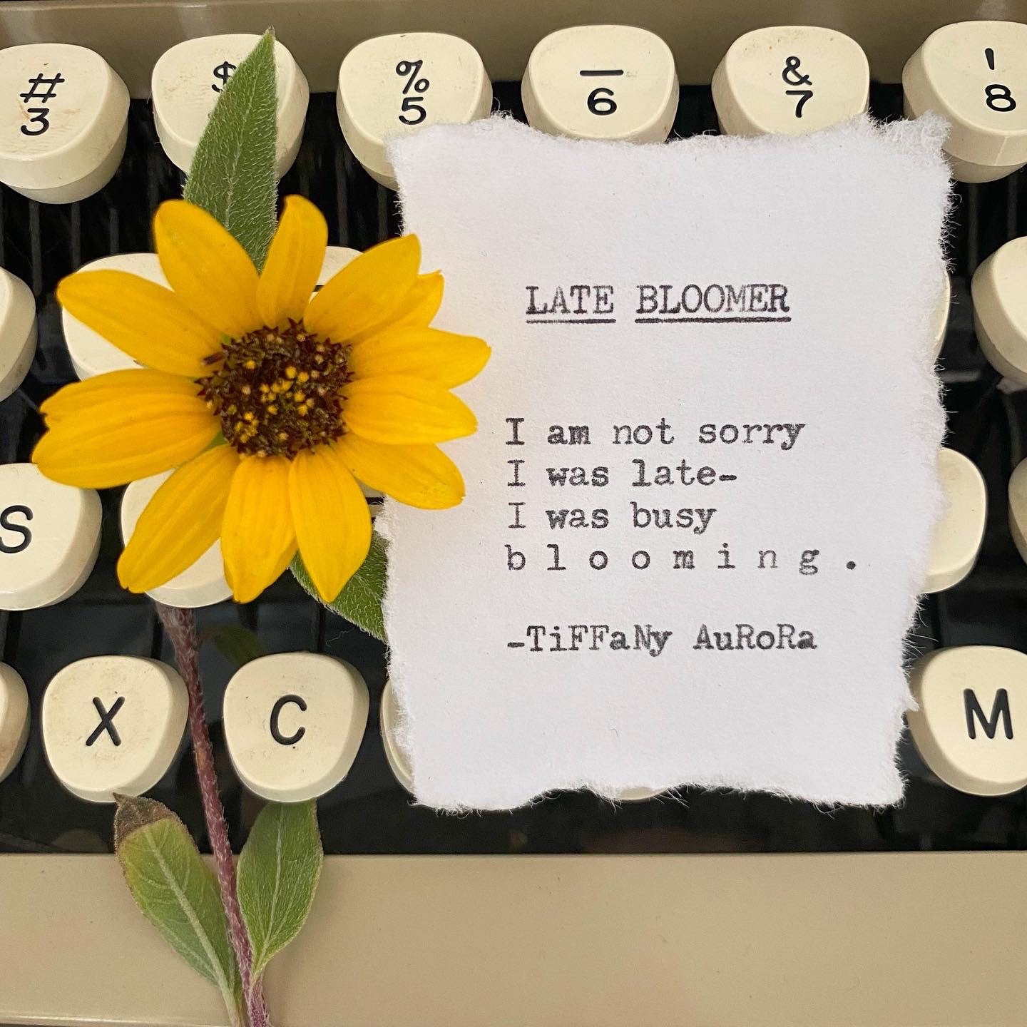 LATE BLOOMER Selflove Quote Etsy