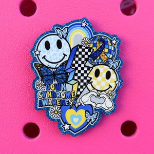 May include: A colorful charm with a glittery blue border, featuring a smiley face, butterflies, flowers, a rainbow, and the text "DOWN SYNDROME AWARENESS." The charm has a heart, a checkered pattern, and a globe with a ribbon.