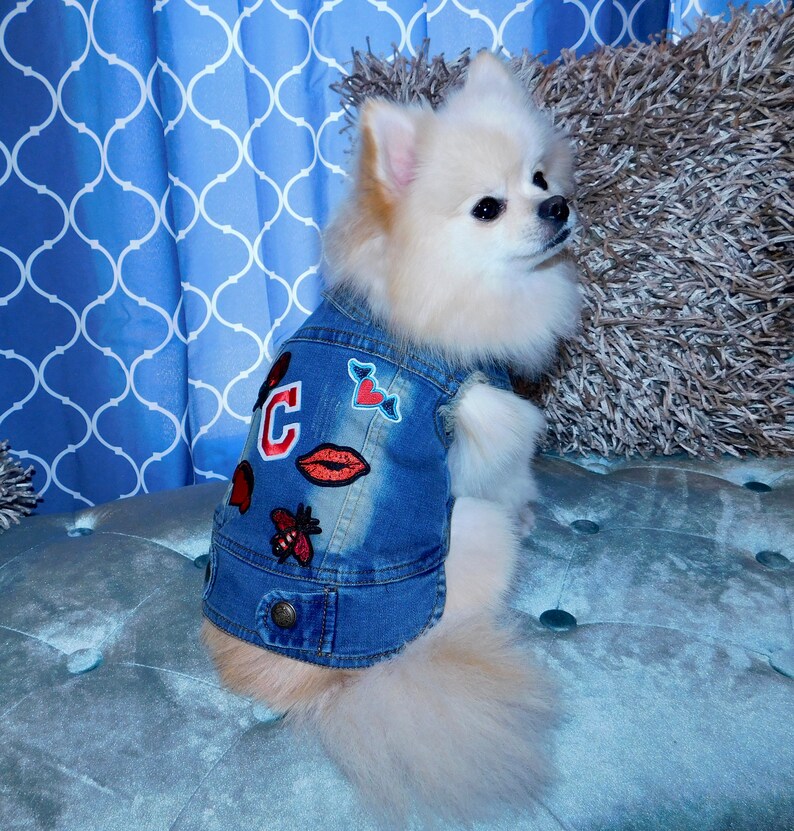 Custom Denim Dog Vest Dog Jean Jacket Personlaized Denim Etsy
