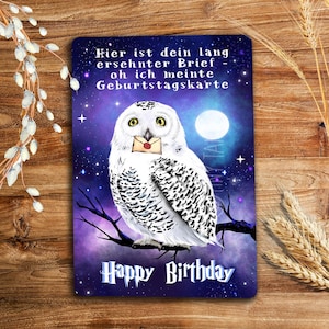 Può includere: Biglietto di compleanno rettangolare con un'illustrazione di un gufo delle nevi posato su un ramo contro un cielo stellato. Il gufo tiene una lettera nel becco. Il biglietto ha le parole "Happy Birthday" e testo in tedesco.