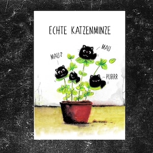Carte postale à l'herbe à chat véritable, Tomcat Moo, drôle et mignon