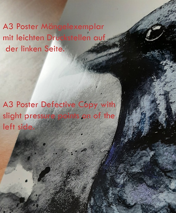 Affiche aquarelle corbeaux, Hugin et Mugin, impression de corbeaux vikings,  impression gothique, art des oiseaux -  Canada