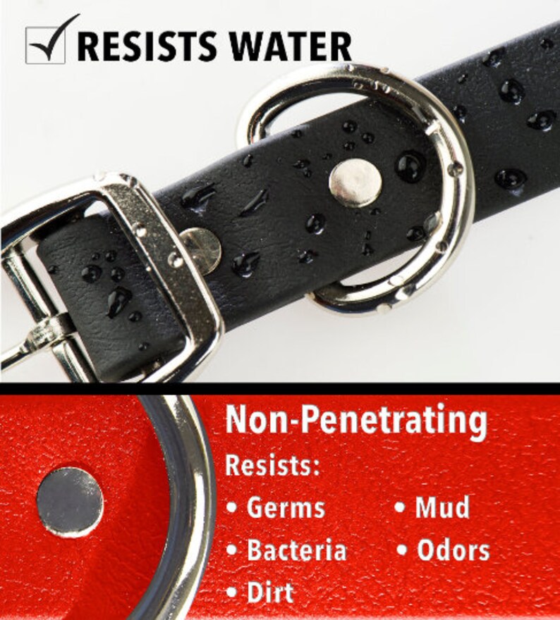 Waterproof Dog Collar No Stink Dog Collar Wearhard Dog Etsy