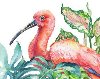 Scarlet Ibis & Tropical Leaves - Original Watercolor