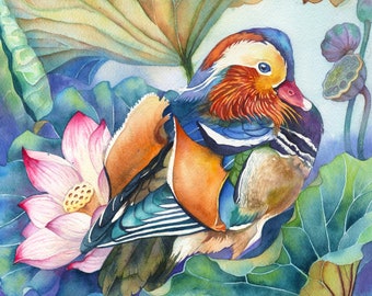 Mandarin Duck & Lotus Flowers - Original Watercolor