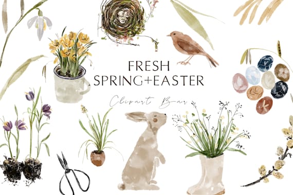 Easter Spring Botanical Watercolor Modern Clipart Instant Download Easter Bunny Png Icons Instagram Stickers Digital Clipart