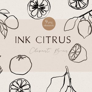 Linha moderna desenho cítrico botânico clip art, arte de limão, flor esboço desenhado à mão ilustração floral, capas de destaque do instagram