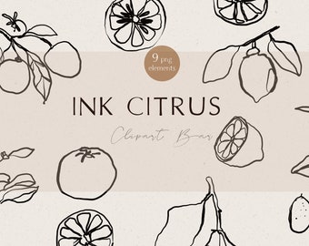 Modern Line Drawing Citrus Botanical Clip Art, Lemon Art, Flower Hand Drawn Sketch Floral Illustration, Instagram Highlight Covers
