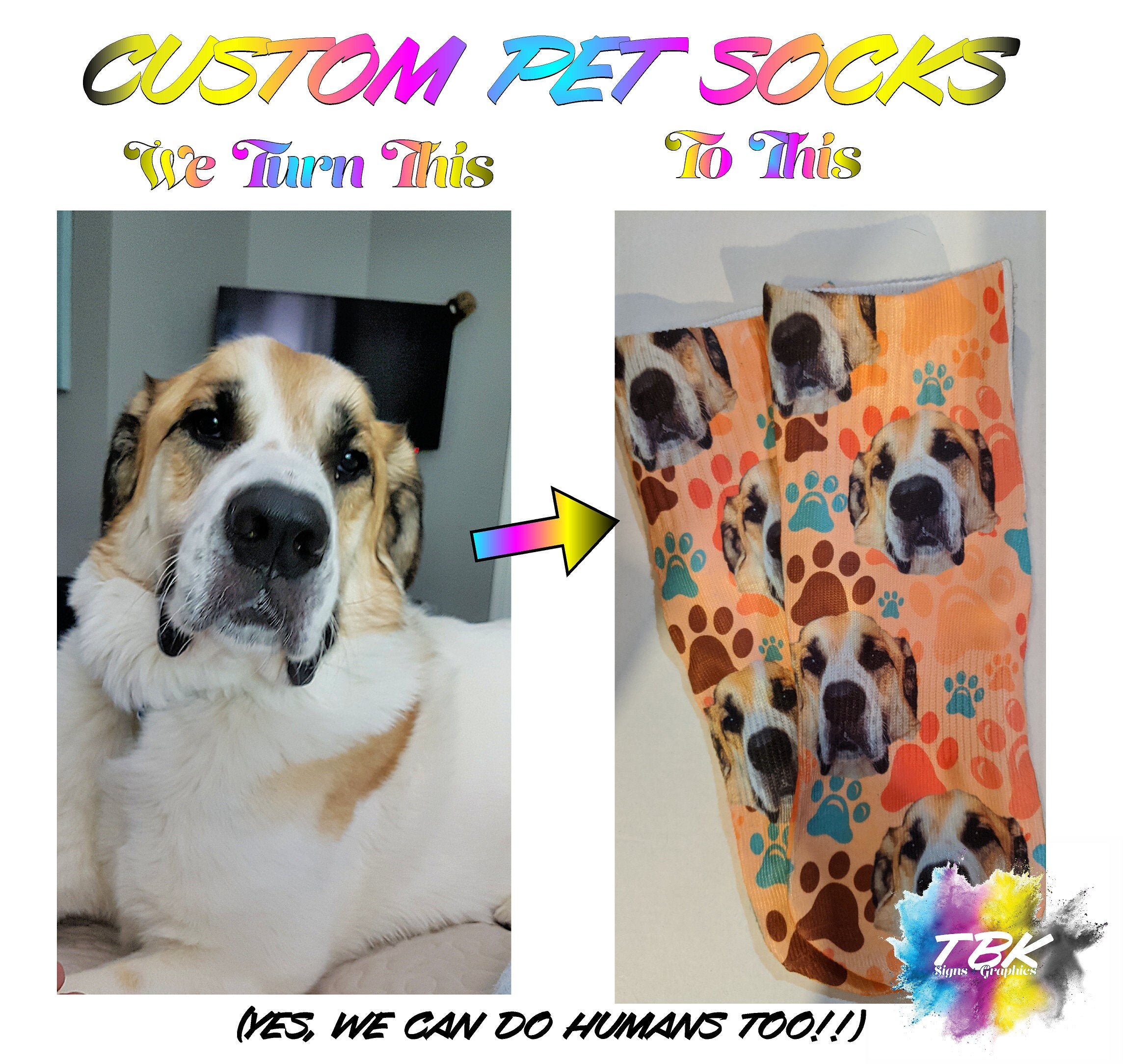 pet pics on socks