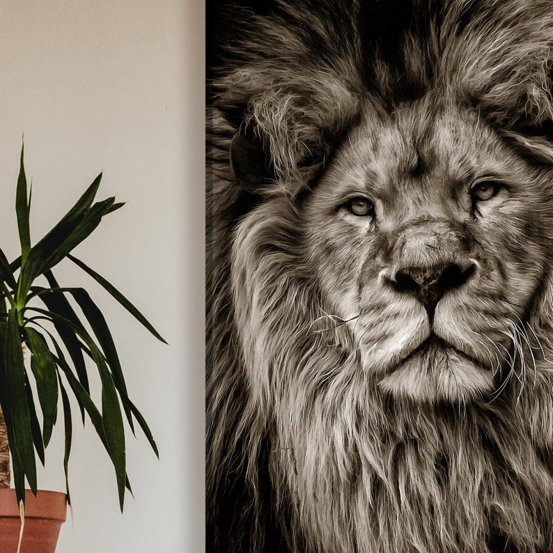 Lion Wall Art Lion Artwork Lion Art Print Large Poster Etsy