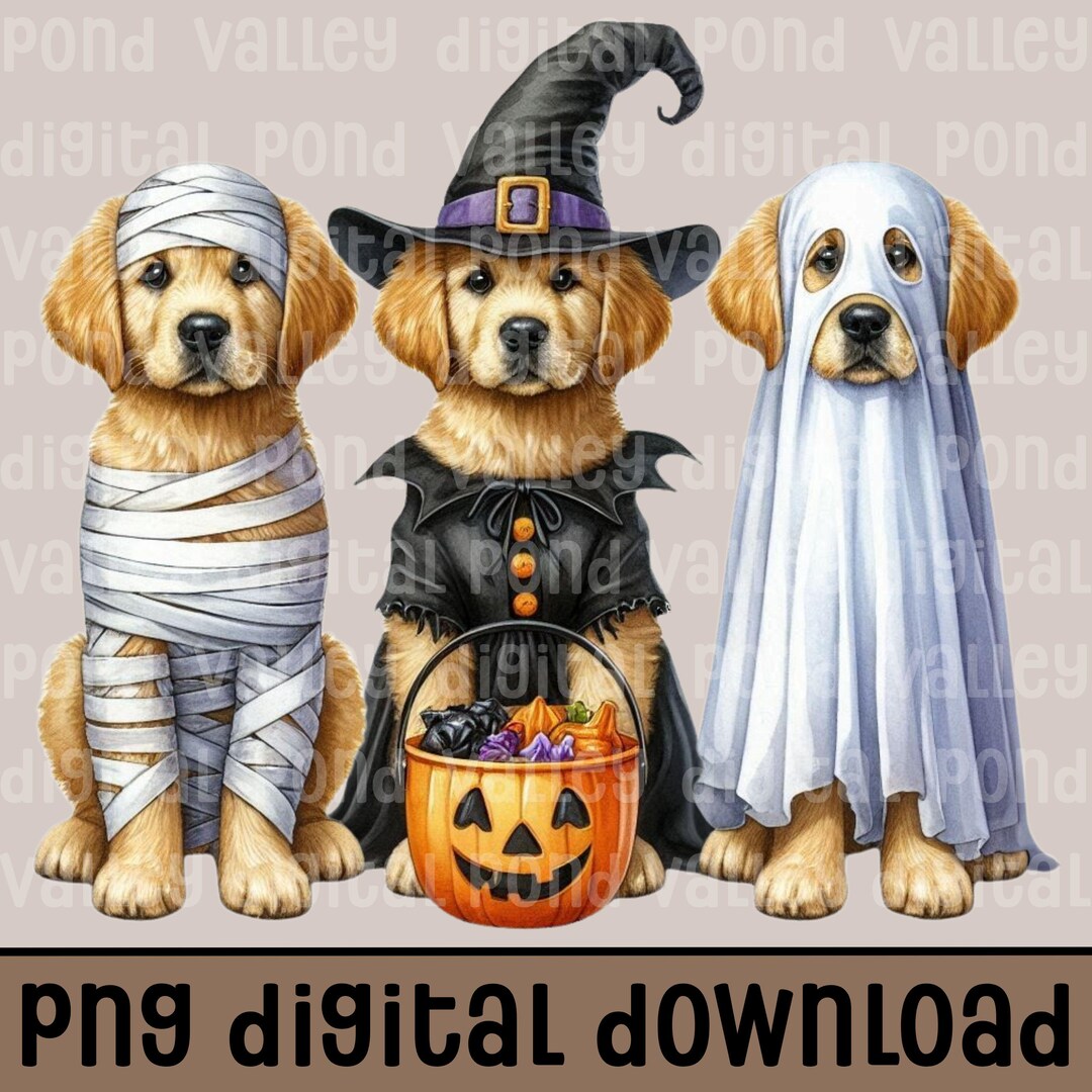 Halloween Golden Retriever PNG Sublimation T-shirt Design for Dog Lover ...