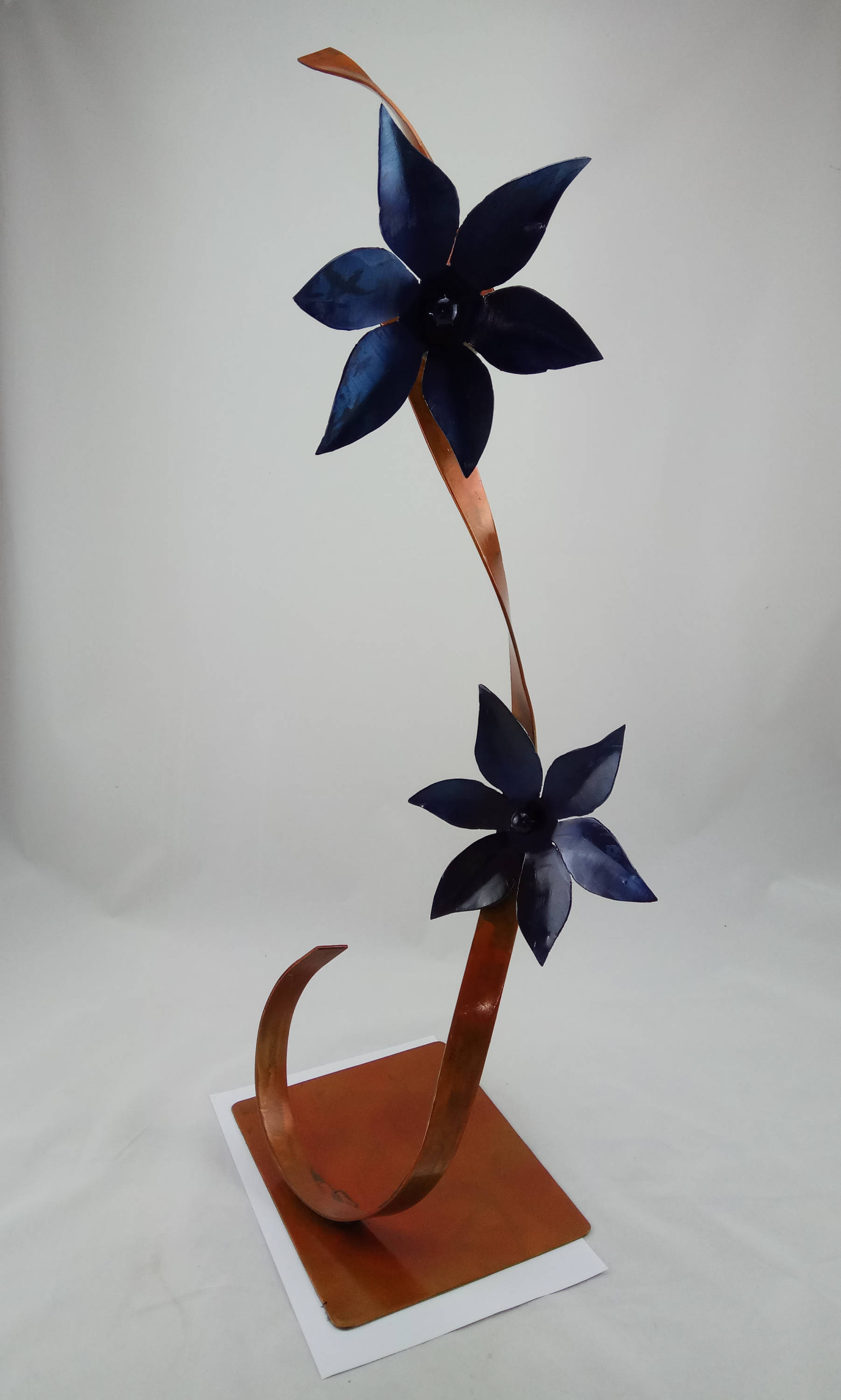 Flower Design, Décoration Fleurie