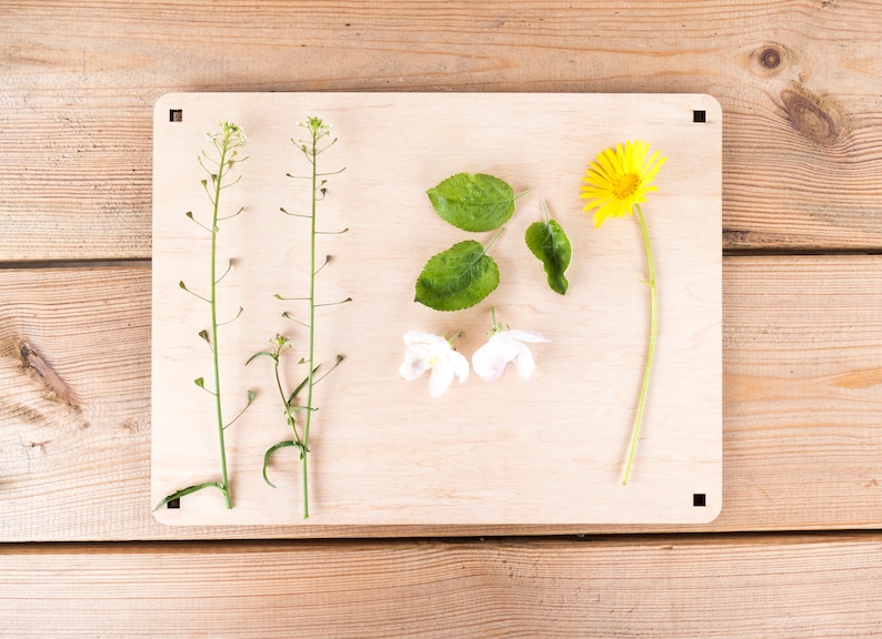 Flower plants press kit Botanical Flower Press Personalized Etsy