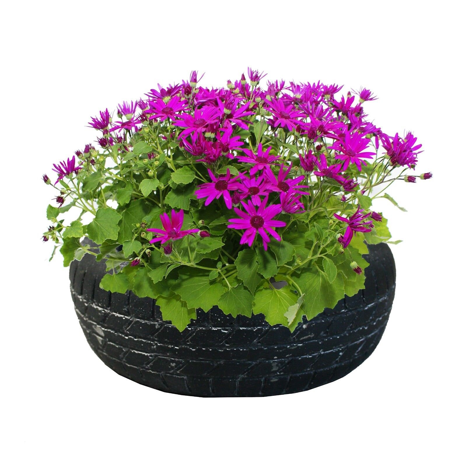 Set of 4 Modern Round Textured Cement Tyre Patterned Flower Pot Planter ...