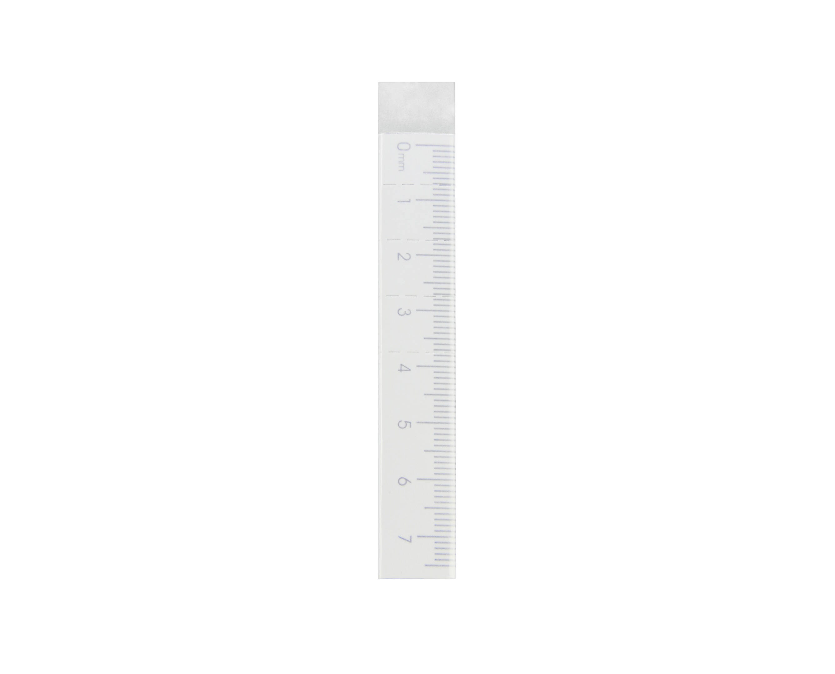 Rubbere Ruler Erasers Rubber Ruler Design Mixed Colours - Etsy