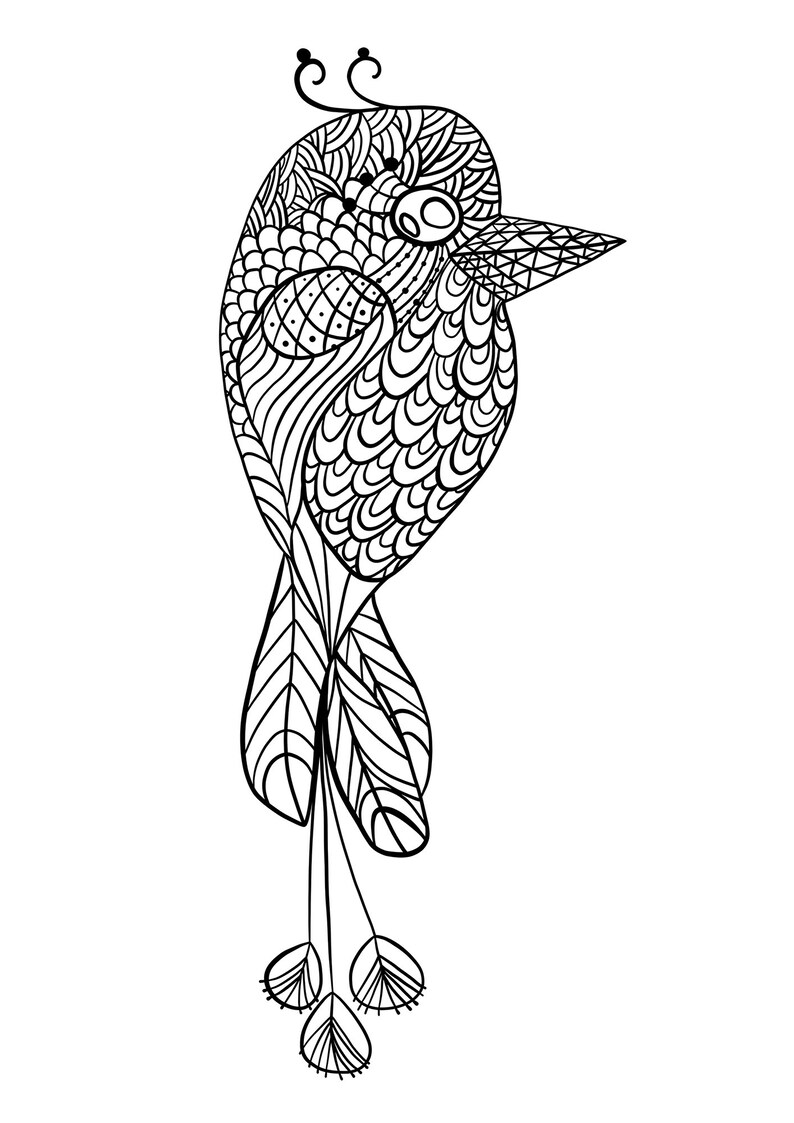 Download Adult Coloring Page Kids Colouring Sheet Zentangle Doodle Art Birds To Color Drawing Animal Pdf Download Cute Coloring Book Home Activity Party Favors Paper Party Supplies Deshpandefoundationindia Org