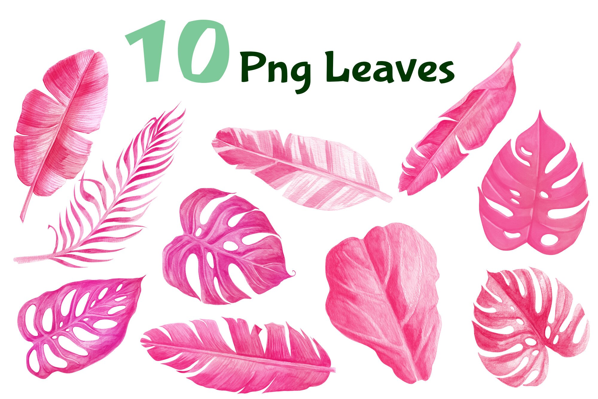 Tropical Palm Leaf Pink Watercolor Tropical PNG Monstera Leaf Palm ...