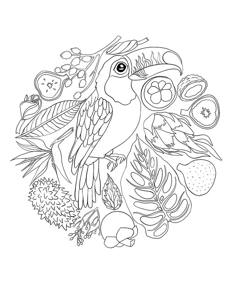 Adult Coloring Sheets Pdf Tropical Plants Kids Activity Color Book Jpeg Ipad Pro Procreate 8.5 x 11
