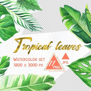Watercolor Tropical leaves clipart palm leaf print leaf banana leaf monstera clipart tropical wedding plant clip art monstera clip art
