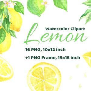 Watercolor Lemon Citrus Fruit Hand Drawn Clip Art. Food Hand Painted Frame, Wreath Lemons. Summer Wedding Clipart. Baby Shower Graphics Png.