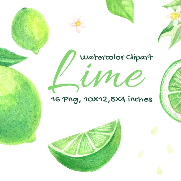 Lime Watercolor Fruit Slice Citrus Clipart Summer Illustration Green Kitchen Wall Clip Art Elements Of Design Digital Scrapbook