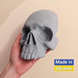 May include: A light gray human skull made of plaster. The skull is being held in a person's hand. The text "Made in Ukraine" is visible in the lower right corner of the image.