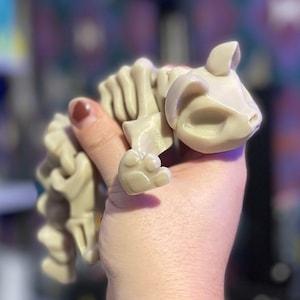 Scheletro di gatto stampato in 3D / Giocattolo spettrale stampato in 3D / Fidget stampato in 3D