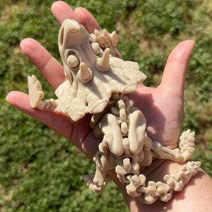 Skelett Triceratops 3D gedrucktes Triceratops Spielzeug