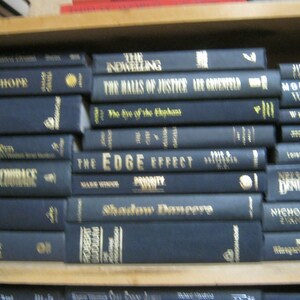 Puede incluir: Una estanter&iacute;a llena de libros de tapa dura negros con letras doradas. Los t&iacute;tulos de los libros incluyen "The Indwelling", "The Halls of Justice Are Greenfield", "The Eye of the Elephant", "The Edge Effect", "Priority", "Shadow Dancere", "Morris In West", "Wild by Heart", "Nelson Demille", "Nicholas Evans", "The God"