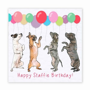 Staffordshire Bull Terrier Birthday Card - Staffie Staffy Birthday Card