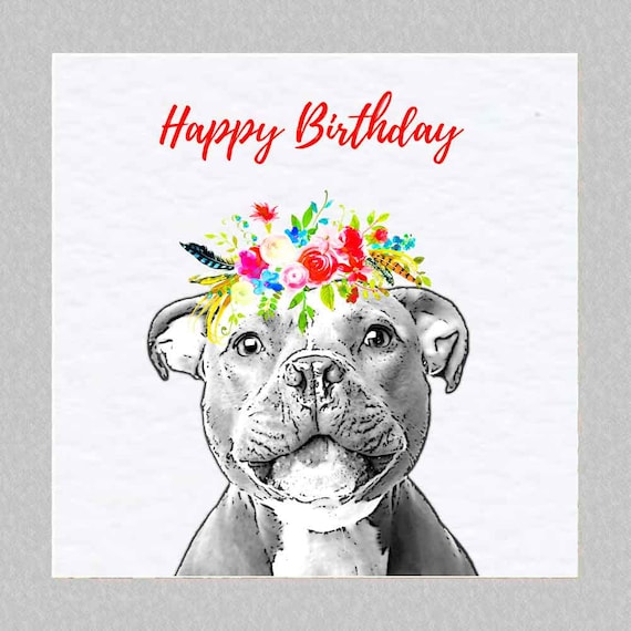 Staffordshire Bull Terrier Birthday Day Card Staffie Staffy Etsy