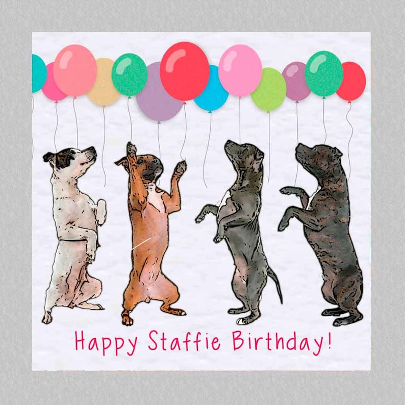 Staffordshire Bull Terrier Birthday Card Staffie Staffy Etsy UK