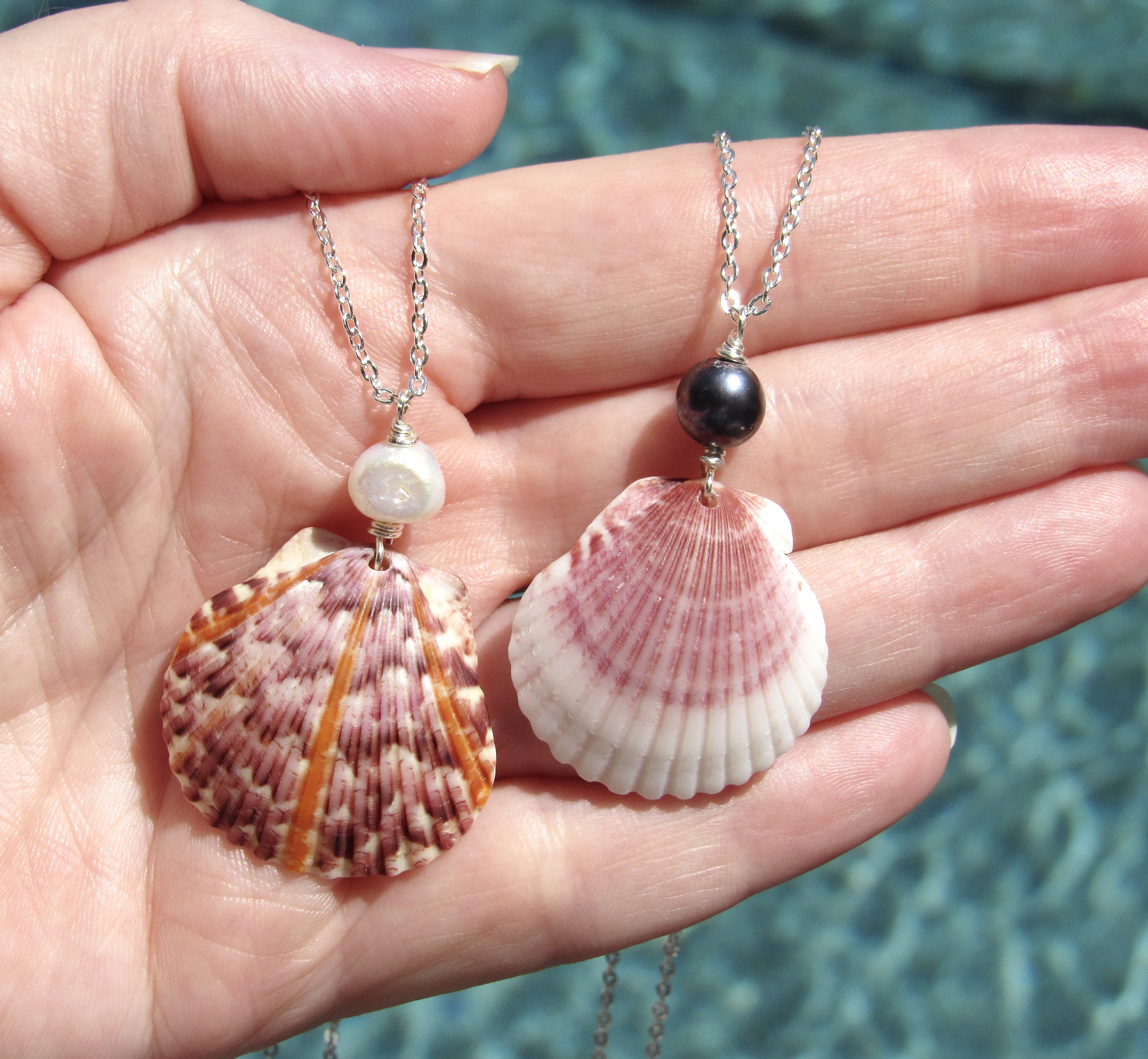 Real Shell Necklace Etsy