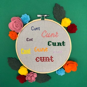 Cunt Word Colourful Cross Stitch