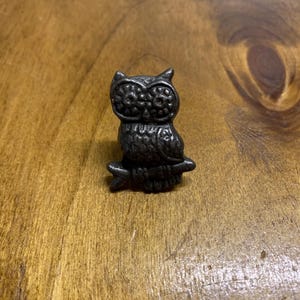 May include: A black metal owl figurine with detailed features, perched on a branch. The owl has large, round eyes and a textured body.