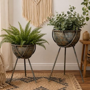 May include: Two bowl-shaped metal planters with a weathered, dark patina finish, each supported by a three-legged stand. The planters hold lush green foliage, including a fern in the smaller one and eucalyptus-like leaves in the larger one.