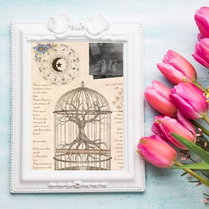 Practical Magic Witch Spell, Caged Tree